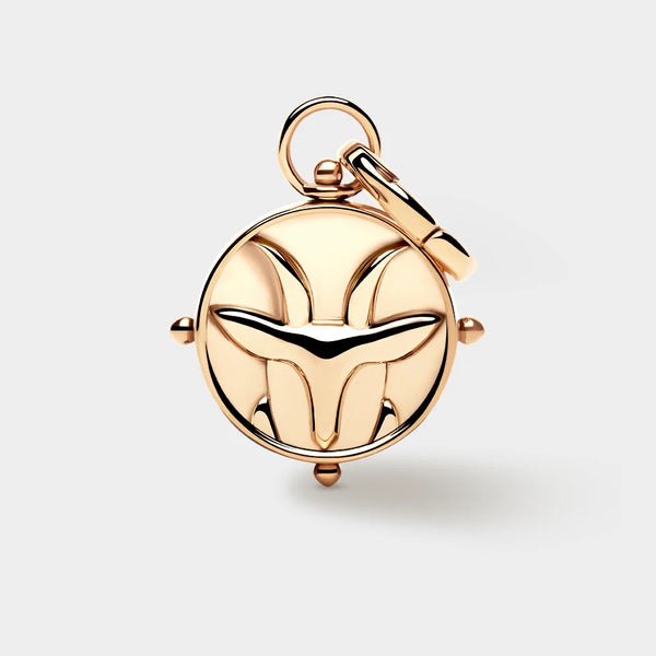 COLURi Zodiac Double Sided 'Capricorn' Charm - Gold Plated