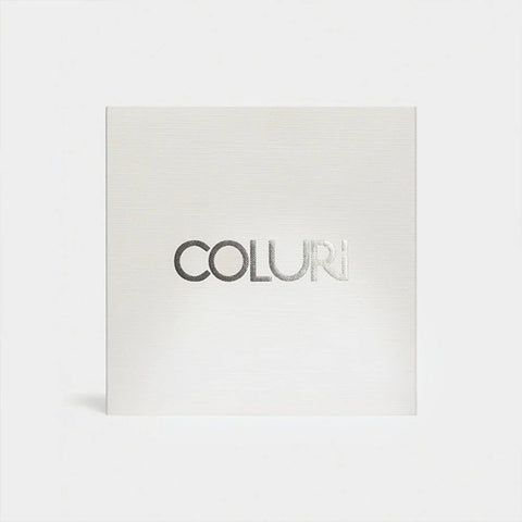 COLURi Thick Charm Chain Necklace - Silver