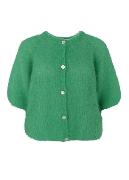 Black Colour BCBjoerk Patent Knitted Cardigan - Green