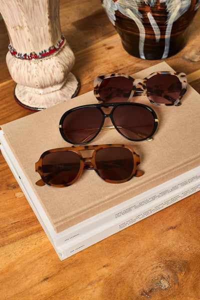 Black Colour BCZafira Sunglasses - Dk Tortoise